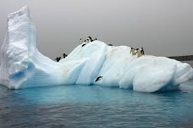 Penguins on top of an Iceberg